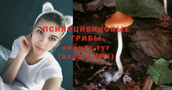 винт Наволоки