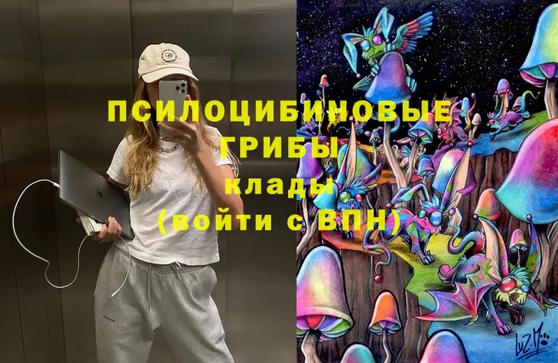 Псилоцибиновые грибы Magic Shrooms  где купить наркотик  Новоульяновск 