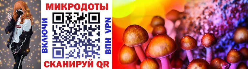 Псилоцибиновые грибы Psilocybe  Новоульяновск 